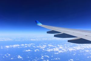 Gray Plane Wing Integument Technologies